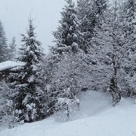 Chalet Elena Σαλέ