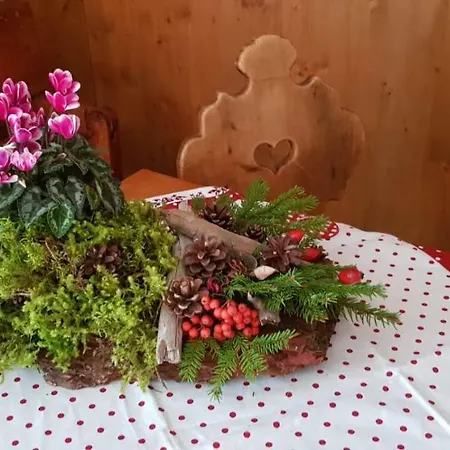 Σαλέ Chalet Elena Auronzo di Cadore