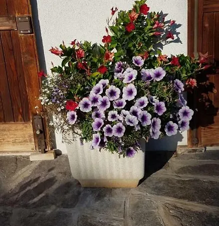 Chalet Elena Σαλέ *