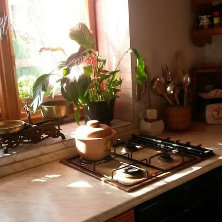 Chalet Chalet Elena *